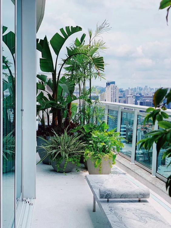 balcon moderno con estilo tropical