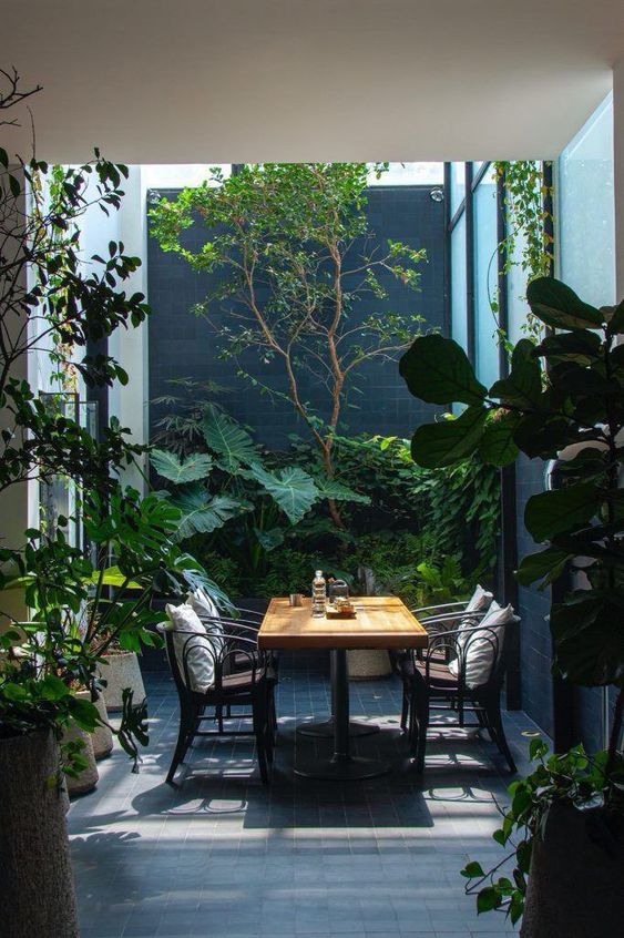 patios internos con estilo tropical